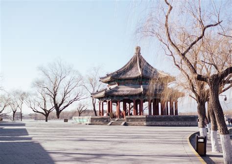 神明廳可以養魚嗎 帶水晶